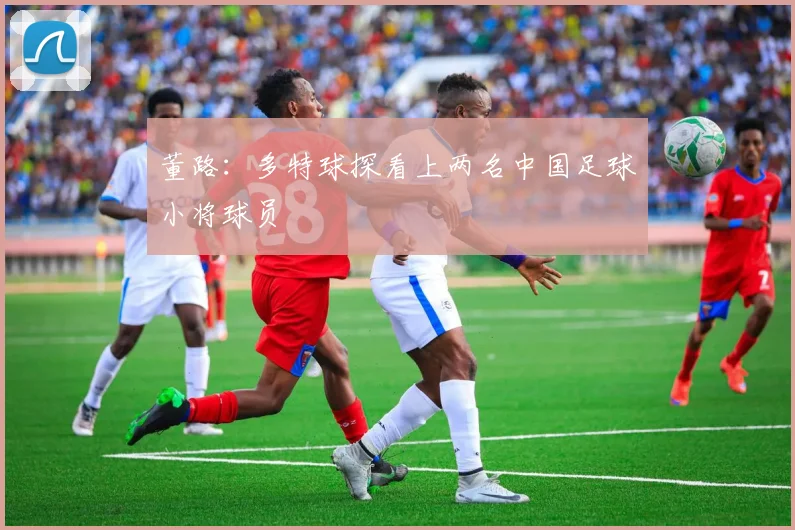 董路：多特球探看上两名中国足球小将球员
