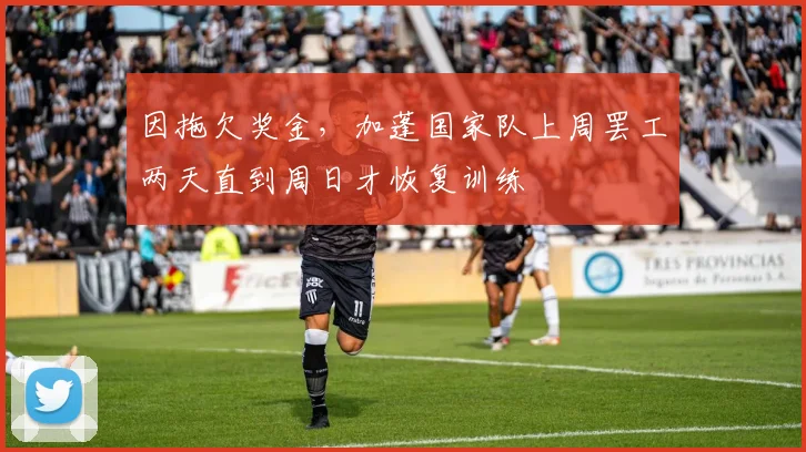 因拖欠奖金，加蓬国家队上周罢工两天直到周日才恢复训练