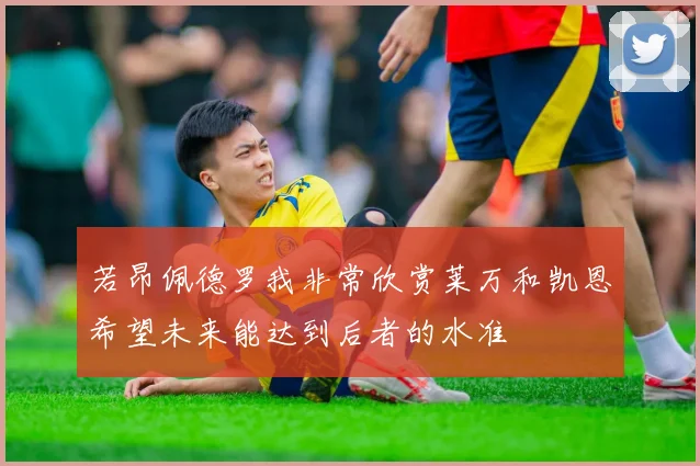 若昂佩德罗我非常欣赏莱万和凯恩希望未来能达到后者的水准