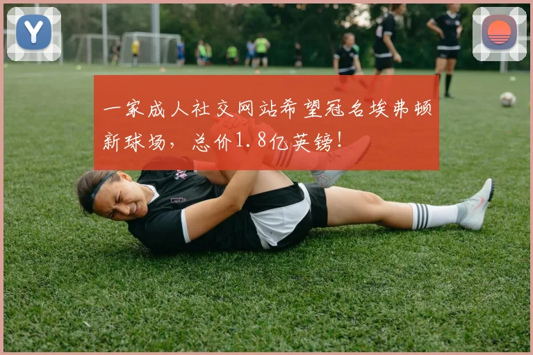 一家成人社交网站希望冠名埃弗顿新球场，总价1.8亿英镑！